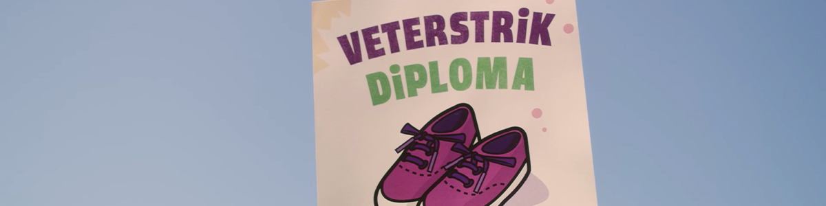 BBQ_Veterstrikdiploma_Lang